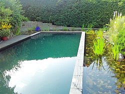 Teich und Pool perfekt kombiniert und durch Bachlauf verbunden
